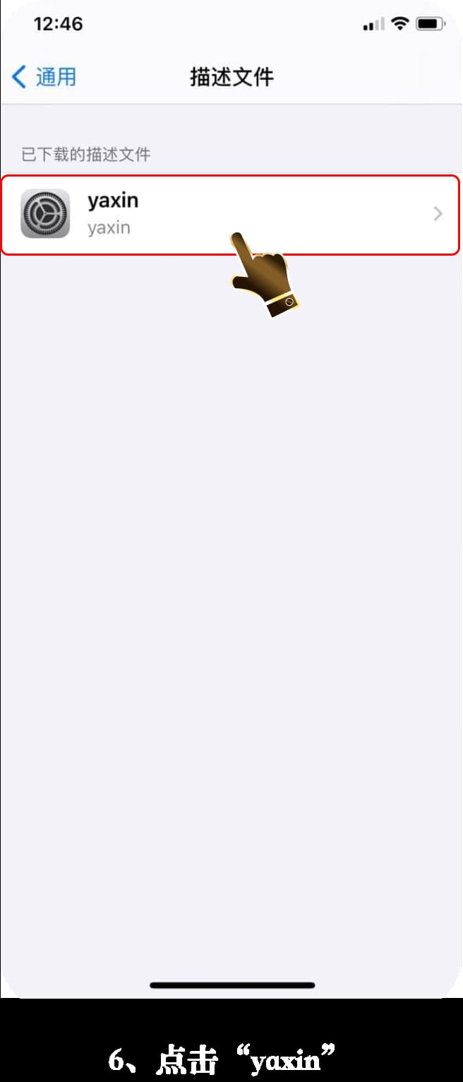 亚星iOS客户端安装流程示意图6